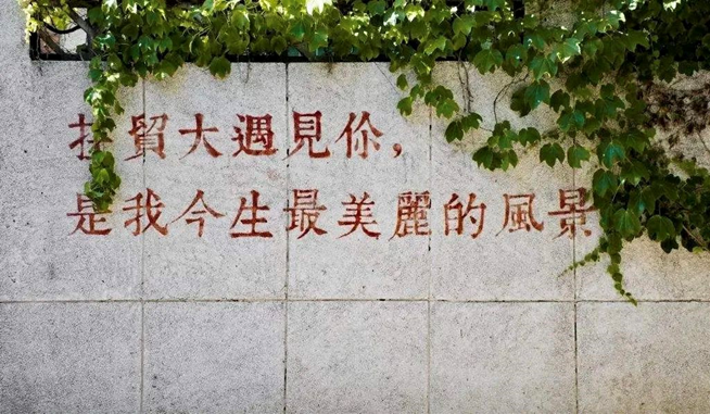 华人博彩论坛