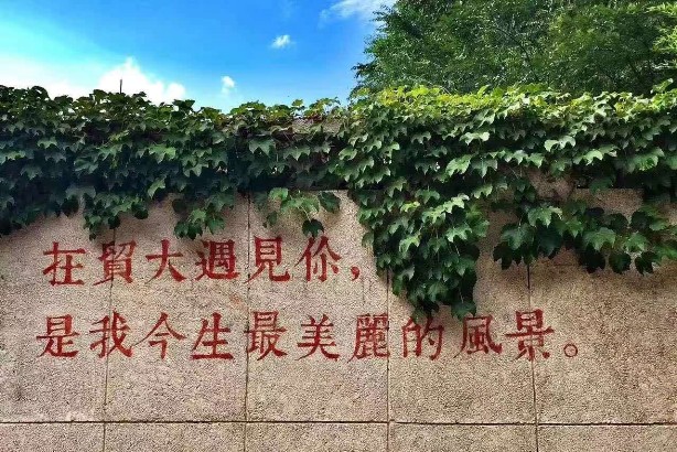 华人博彩论坛